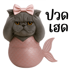 The last mermaid cat