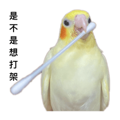 玄鳳阿雷-搞笑貼圖