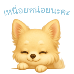 Chihuahua Stickers [Thai Ver.]