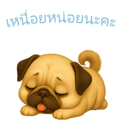 Pug Stickers [Thai]