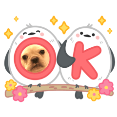 sachi_20250810212431