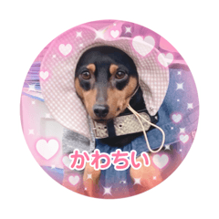 tomomi_20250810213106