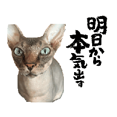 hiro_20250811160502