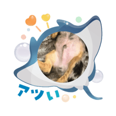 Kotetsu_20250811180141