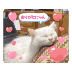 nono_20250811172029