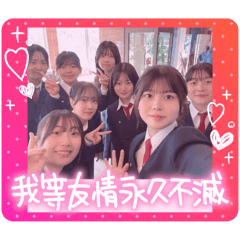 sakura_20250811181456