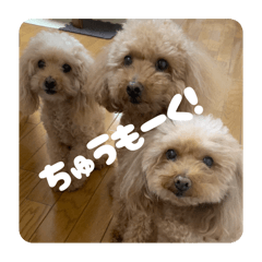 KURUMI_20250811181916