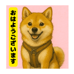 yurie_20250811143643