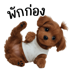 Cute little brown-haired dog (BIG)