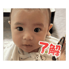hisa_20250811230105