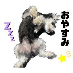 Sayuri_20250811205925