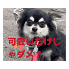 mint_20250812073746