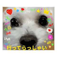 yukko_20250812094229