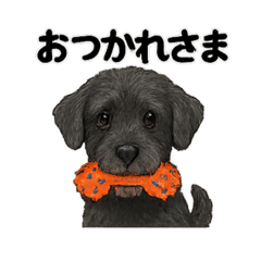 Mochico_20250811125134