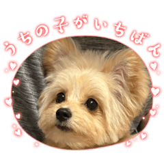 nabeshin_20250811130618