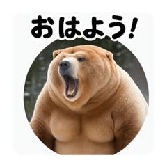 mochi_mochi_kuma