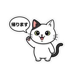 panda_20250811153954