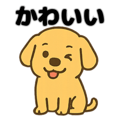 yuru-golden:The Chill Golden Retriever