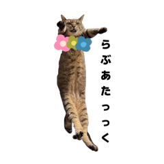 Sheepmee_20250809170114