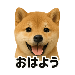 uka_20250810212029