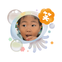 sakura_20250811010902