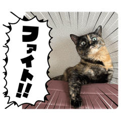 piece_20250811012342