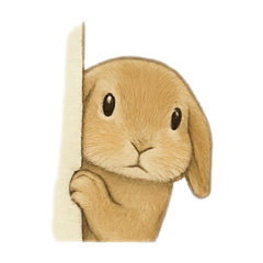 himawari_20250811171930