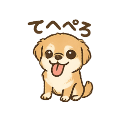 shiho_20250811204349