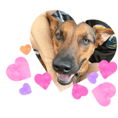 Kang-bao康寶公主