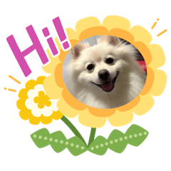 Jantida_20250811184422