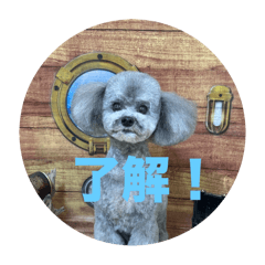 kana_20250811235656