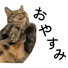 kaori_20250811235809