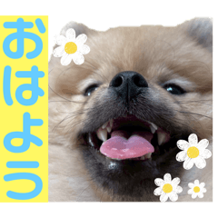 shiho_20250809195321