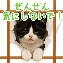 Daily Tuxedo Cat Plush Stickers