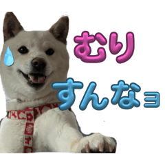 zukky_20250811151341