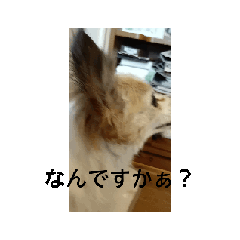 mahiro_20250812105847