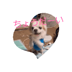 hide_20250812113238