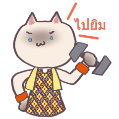 Cat exercises in Thai