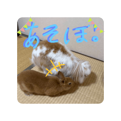 non_20250811164330