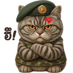 ❤️แมวสลิด ทหารกล้า❤️