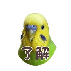 Kana_20250809225752