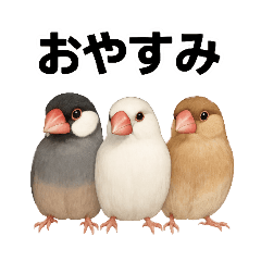 chihiro_20250811192925