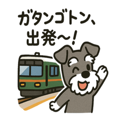 Schnauzer Train GO!GO!