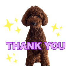 saori_20250811223341