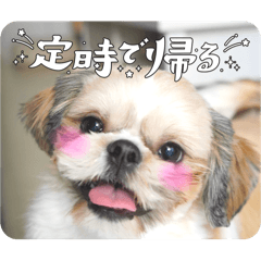 kazuki_20250810092831