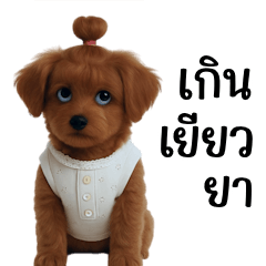 Cute little brown-haired dog