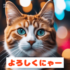 いろんな猫の日常会話