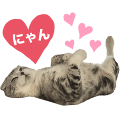 Kaho_20250810141856