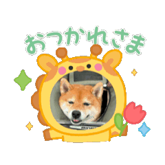 saku_20250812151439