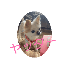 hide_20250812194605
